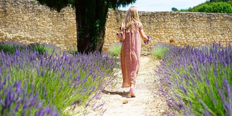 Mantenimiento integral de jardines en Málaga
