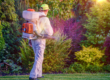 fumigacion-plagas-jardines