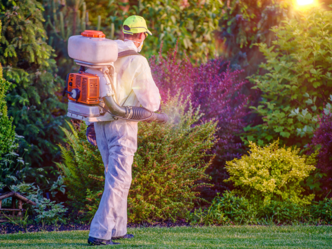 fumigacion-plagas-jardines
