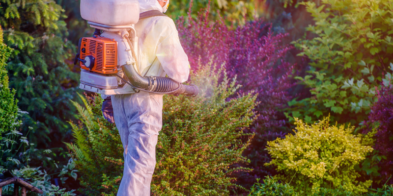 fumigacion-plagas-jardines